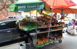 East Harlem Food Projects